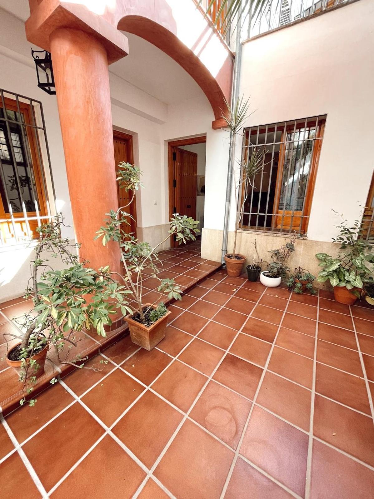 Apartamento Potro 2 *